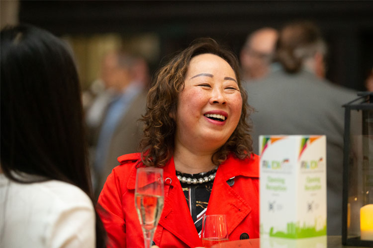 IDX networking scene