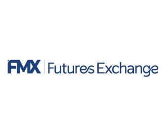 FMX logo