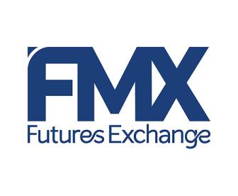 FMX logo