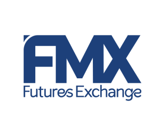 fmx logo
