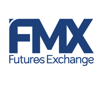 fmx logo