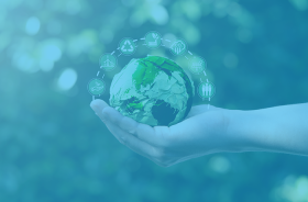 Sustainability