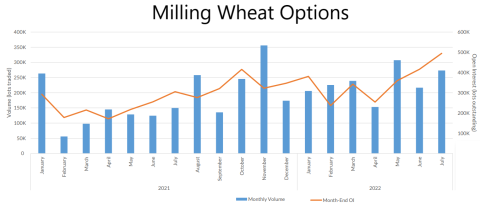 wheat option data spotlight