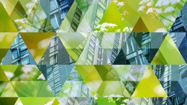 sustainable finance