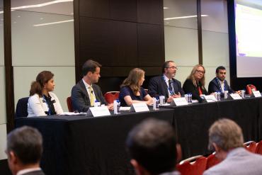 Commodities Markets in Transition Panel
