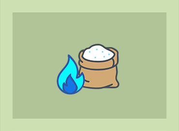 Rules & Regulatory Guidance for ICE US